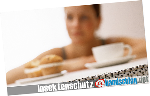 insektenschutz domain